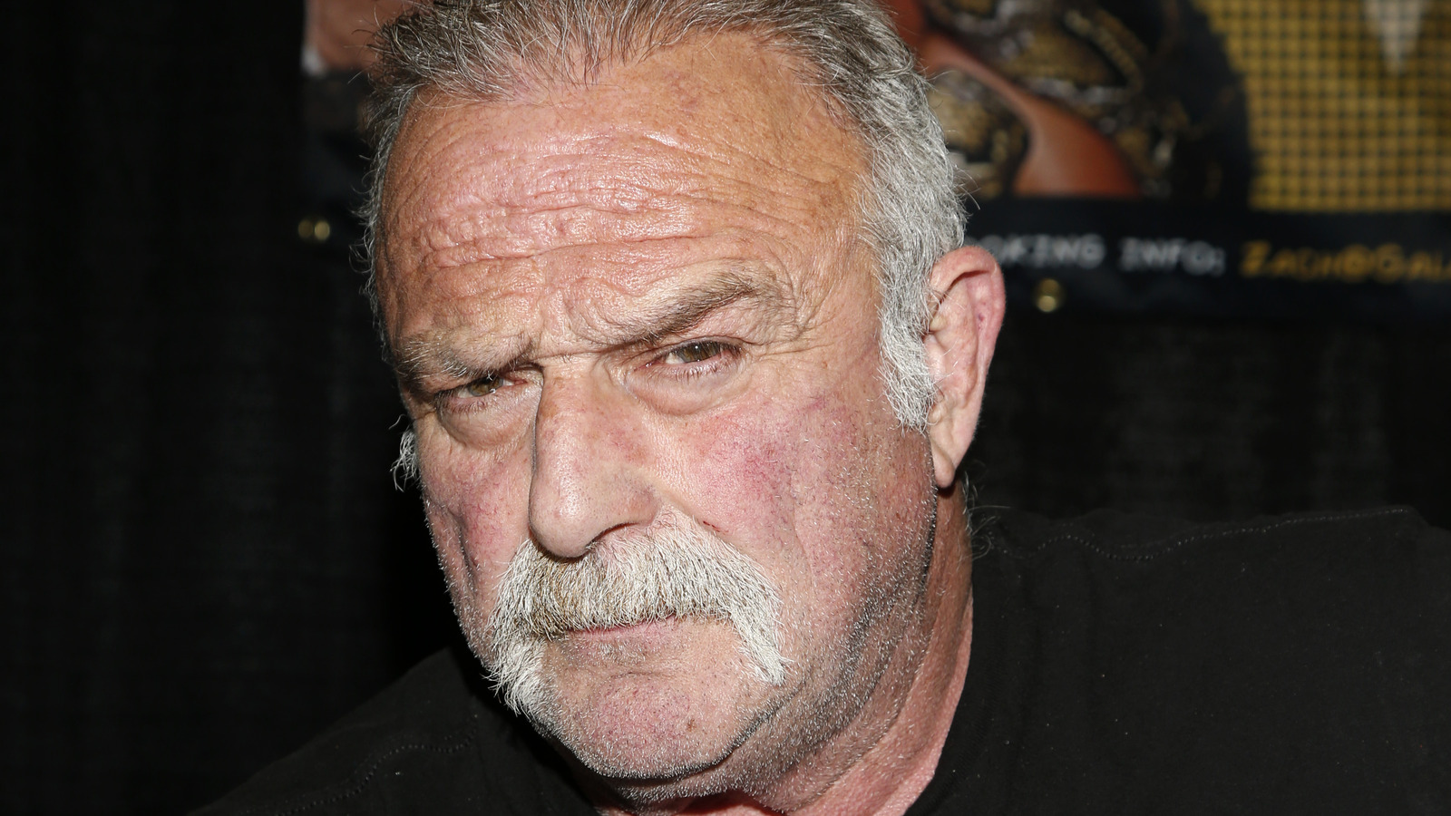 WWE Hall Of Famer Jake Roberts Would've Liked To Wrestle In This Hardcore Match