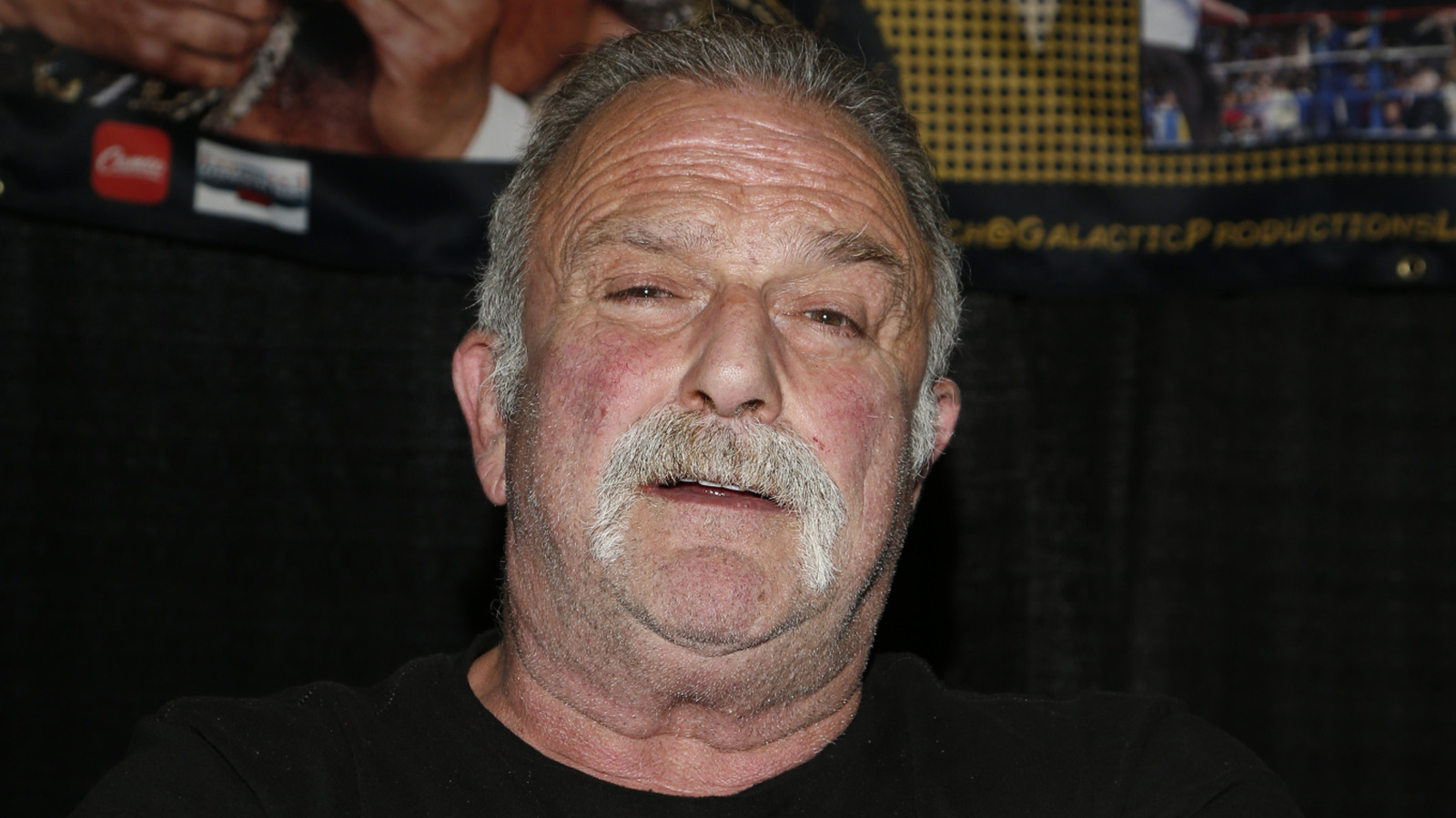 WWE Hall Of Famer Jake The Snake Roberts Addresses Sobriety