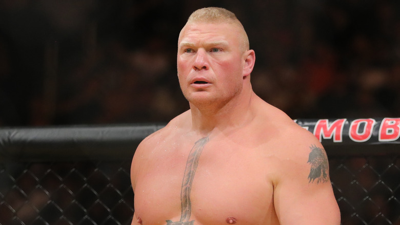 Brock Lesnar in UFC cage