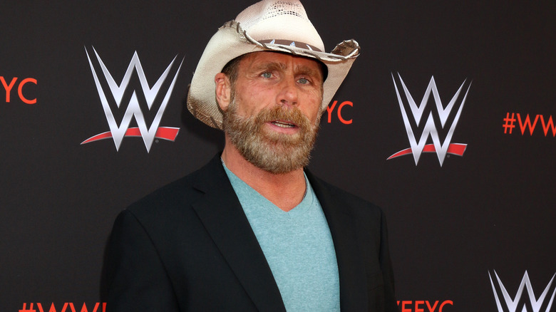 Shawn Michaels smiling