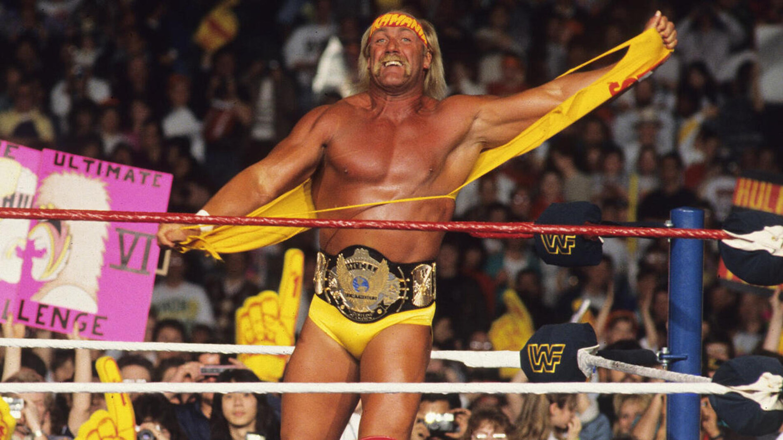 WWE Legend Hulk Hogan Questions AEW Spot That Led To Adam Copeland's Injury