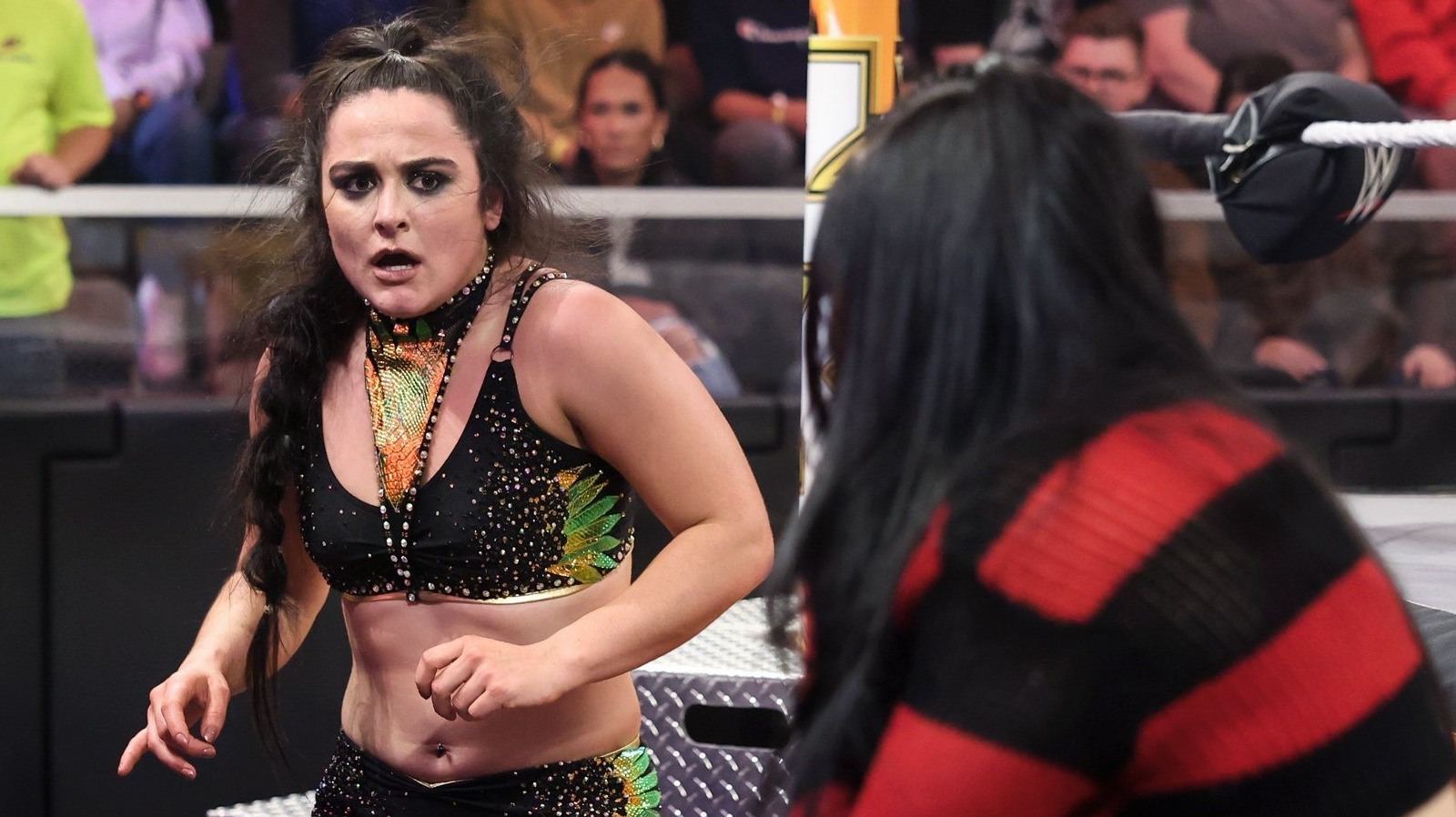 WWE NXT Women's Champion Lyra Valkyria Discusses Her Training For