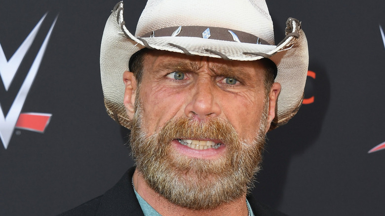 Shawn Michaels grimaces