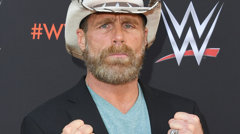 Shawn Michaels puts his fists up