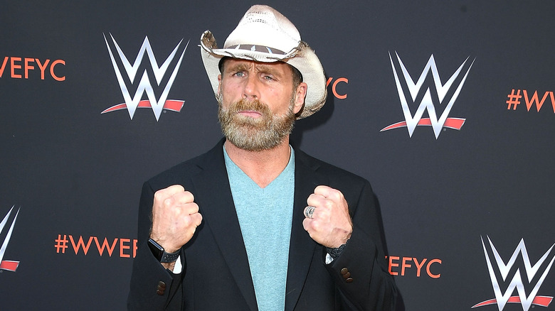 Shawn Michaels puts his fists up