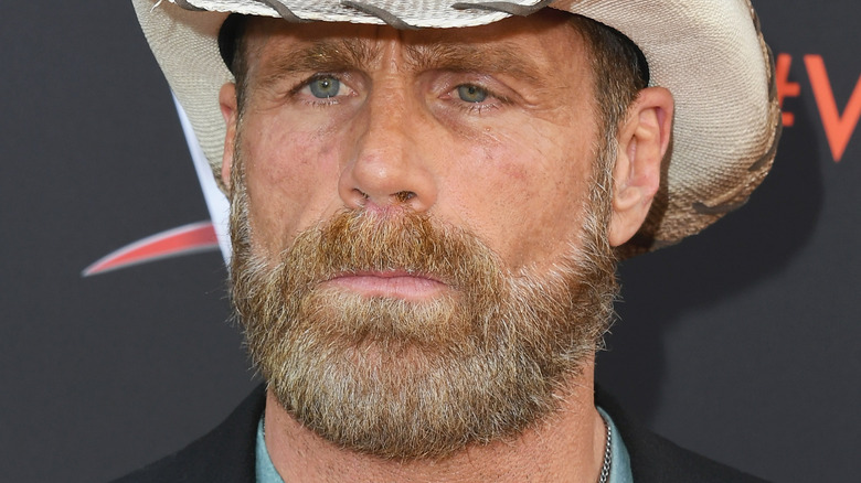 Shawn Michaels staring