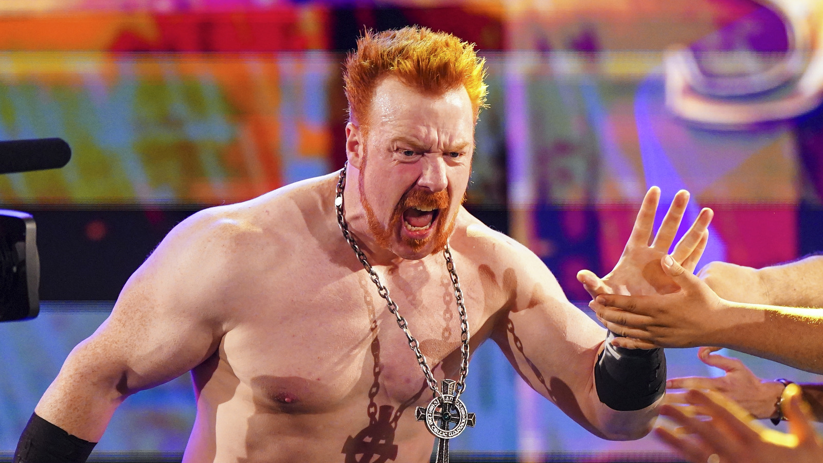 WWE Star Sheamus Responds To Fans Shaming Him For Physique