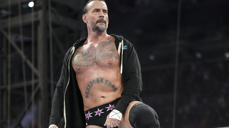 CM Punk poses